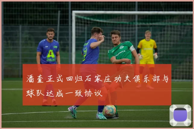 潘奎正式回归石家庄功夫俱乐部与球队达成一致协议
